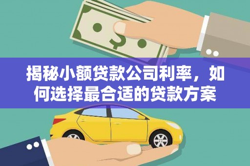 阳谷揭秘小额贷款公司利率，如何选择最合适的贷款方案