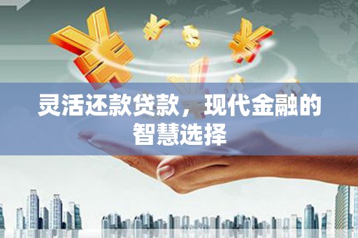 成功灵活还款贷款，现代金融的智慧选择
