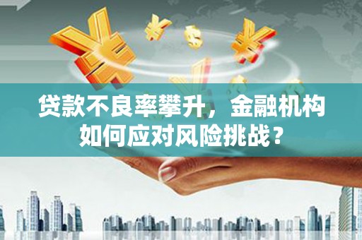 瑞芳贷款不良率攀升，金融机构如何应对风险挑战？