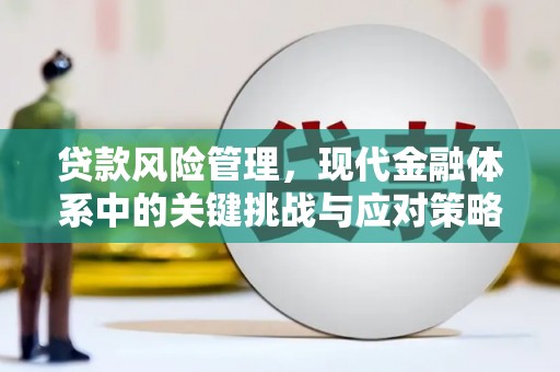 高邑贷款风险管理，现代金融体系中的关键挑战与应对策略