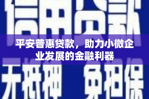 梅州平安普惠贷款，助力小微企业发展的金融利器