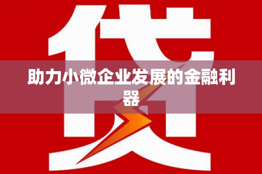 磐安助力小微企业发展的金融利器
