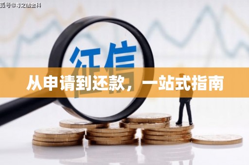 工布江达从申请到还款，一站式指南