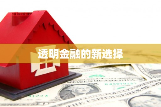 市中区透明金融的新选择